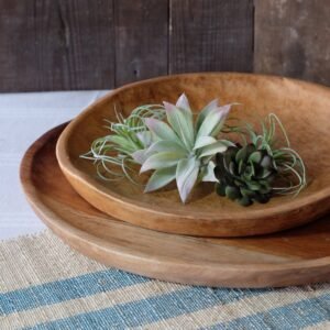 Medium Ola Wood Platter - 14 inch